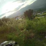 9aa7bbb5-fb74-4d3c-831b-3a01d2881854-1_all_39026_11zon