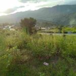9aa7bbb5-fb74-4d3c-831b-3a01d2881854-1_all_39027_11zon