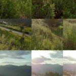 9aa7bbb5-fb74-4d3c-831b-3a01d2881854-1_all_39028_11zon